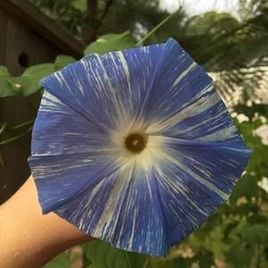 Meet your Posher, Christi